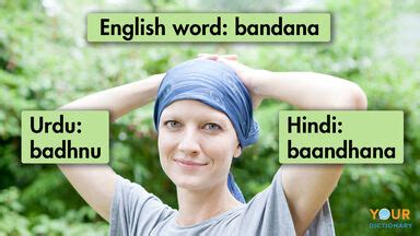 Pandit Definition & Meaning .